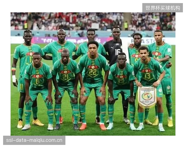 塞内加尔阵容结构合理三线实力均衡,具备在世界杯赛场挑战强队的硬实力。 塞内加尔阵容结构合理三线实力均衡,具备在世界杯赛场挑战强队的硬实力。